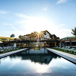 Hotel Pinei